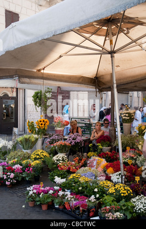 Flower Stand au marché de Campo de Fiori à Rome, Italie Banque D'Images