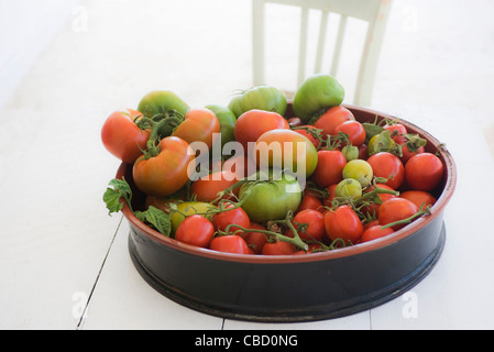 Les tomates fraîches en grand plat Banque D'Images