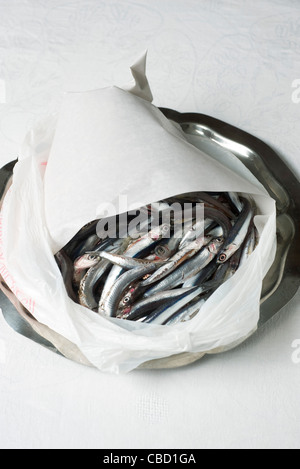 Anchois crus frais dans le sac en plastique Banque D'Images