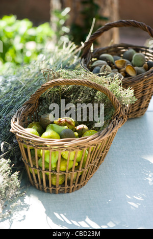 Figues fraîches et d'herbes dans panier Banque D'Images