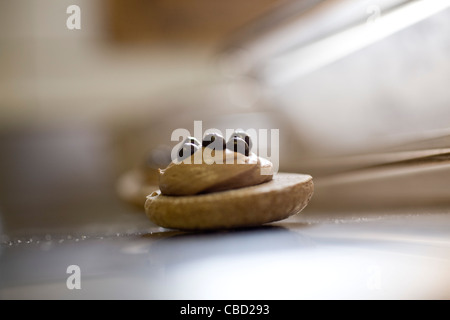 Biscuit macaron à la crème et chocolat Banque D'Images