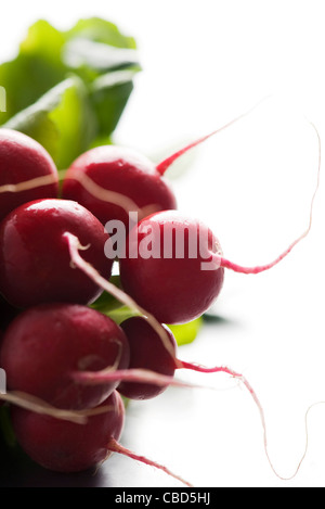 Les radis frais, close-up Banque D'Images