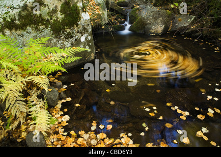 Time Lapse view de Whirlpool en étang Banque D'Images