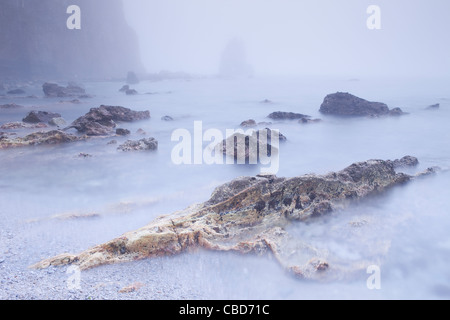 Fog rolling over Rocky beach Banque D'Images