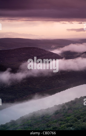 Fog rolling over rural hillside Banque D'Images