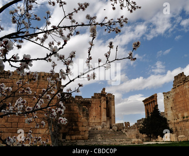 Complexe des temples à Baalbek, au Liban. La plupart des pré-romaine et romaine site en Moyen-Orient. Sun City. 3e millénaire avant J.-C.. Banque D'Images