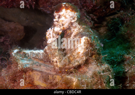 Vladimir Ilitch Oulianov Lénine sculpture sculpture d'abord dans le monde musée subaquatique Leaders' Alley ou Atlantis soviétique Banque D'Images