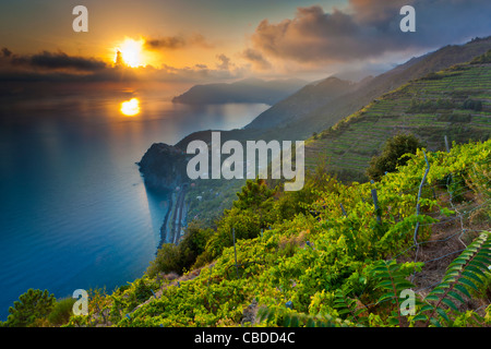 Coucher de soleil sur Corniglia, Parc National des Cinque Terre, Province de La Spezia, Ligurie, Italie, Europe Banque D'Images