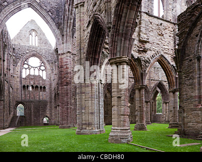 Ruine de l'abbaye de Tintern Wales UK Banque D'Images