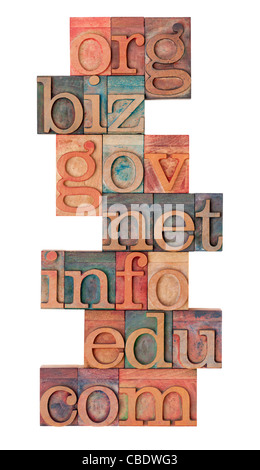 Collage d'extensions de domaine internet populaires (org, biz, gov, net, info, edu, com) - vinatage typographique en bois bloque Banque D'Images