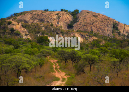 Shabeni Madlabantu Hill vu du 4x4 dans le parc national Kruger, Afrique du Sud Banque D'Images