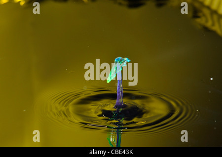 Flash haute vitesse photographie gouttelettes liquides la lumière colorée source. Les terres des gouttelettes dans le liquide et produit une couronne. Banque D'Images