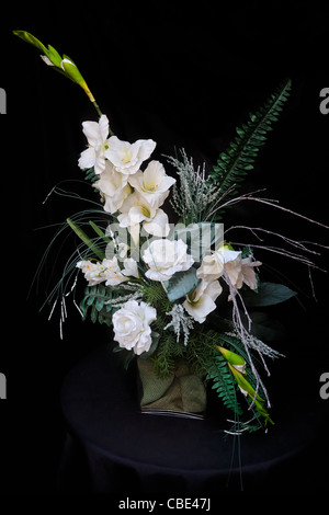 Affichage des fleurs sur fond noir Banque D'Images