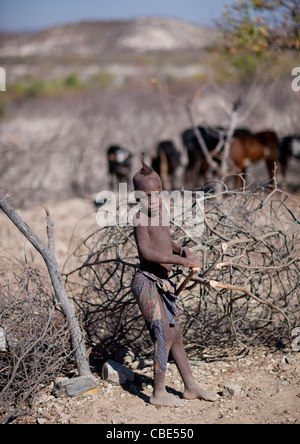 Garçon Himba, Angola Banque D'Images