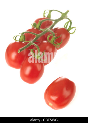 Frais sain juteux tomates mûres de vigne rouge isolé sur un fond blanc avec aucun peuple Banque D'Images