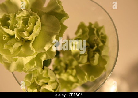 Fleurs dans un vase en verre Banque D'Images