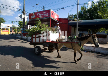 Homme monté sur un cheval et table à Asuncion, Paraguay Banque D'Images