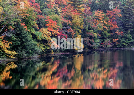 Teintes éclatantes de l'automne de l'Hiawatha National Forest et de la Péninsule Supérieure du Michigan reflètent dans le lac sur place et Alger Comté. Banque D'Images