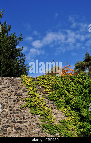 Mur de la ville de Canterbury, Kent, Angleterre. Banque D'Images