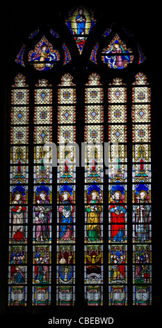 Vitrail de la cathédrale de Saint-bavon à Gand, Belgique Banque D'Images