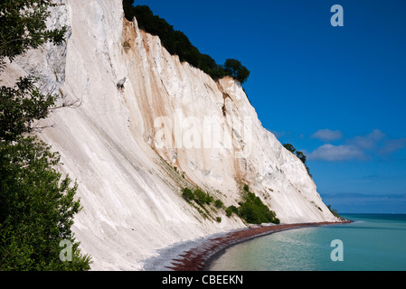 Mons Moens Møns klint Limestone Coast cliff moen Danemark Banque D'Images