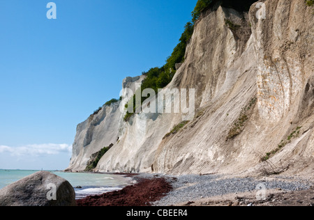 Mons Moens Møns klint Limestone Coast cliff moen Danemark Banque D'Images