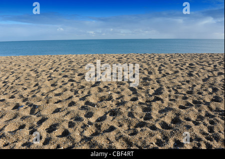 Lieu non identifié Sands Beach en hiver dans le sud du Devon England UK Banque D'Images