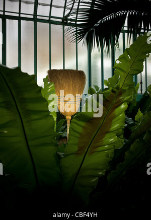 Les serres d'Auteuil's garden, Aperçu des palmiers dans la serre, l'intrus. Plus d'outils de construction bientôt Banque D'Images