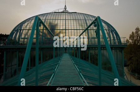 Les serres d'Auteuil, le jardin de la grande serre, vu depuis le toit. Banque D'Images