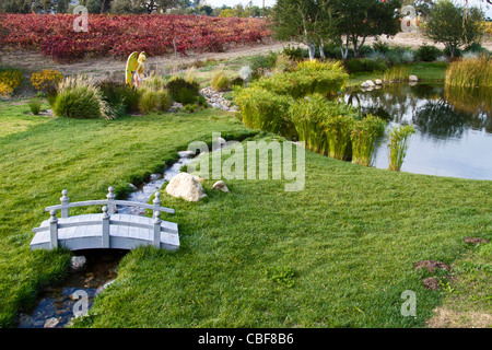 Jardin à Beckmen Winery à Los Olivos California Banque D'Images