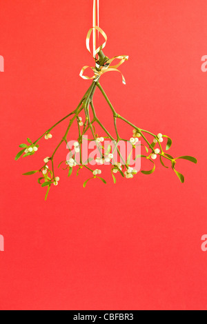 Un bouquet de gui suspendu par un ruban doré sur fond rouge. Banque D'Images