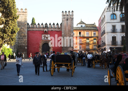 Alcazar, Séville, Espagne Banque D'Images