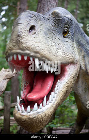 Close up of T-rex dinosaure Tyrannosaurus rex en tête woods Banque D'Images