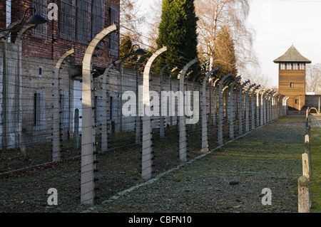 Clôture électrique à Auschwitz camp de concentration nazi Banque D'Images