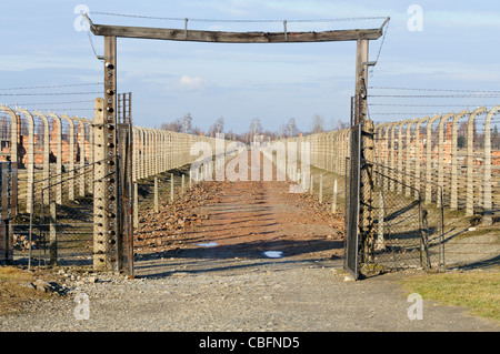 Des clôtures électriques et gate à Auschwitz II Berkenau WW2 camp de concentration Nazi Banque D'Images