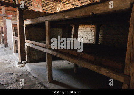 Brique en bois des lits superposés dans des casernes pour les femmes et les enfants à Auschwitz II Berkenau WW2 camp de concentration Nazi Banque D'Images