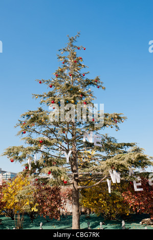 Décoration de Noël et une 'bonne année' souhait dans un arbre Banque D'Images