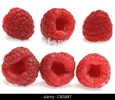 Collage de framboises photographié dans différents postes dans un studio sur un fond blanc avec des ombres. Banque D'Images