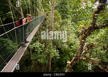 Une femme à la recherche vers le bas d'un arbre Canopy Walkway, Teman Negara Parc National, Malaisie Banque D'Images