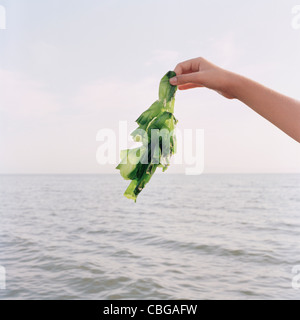 A girl holding up algues, focus on hand Banque D'Images