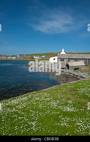 Le Leiraness de Voe sur le son de Bressay, îles Shetland. 7767 SCO Banque D'Images