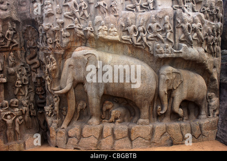 La pénitence d'Arjuna monde plus grand bas-relief en pierre de Mahabalipuram, Tamil Nadu, Chennai, Inde Banque D'Images