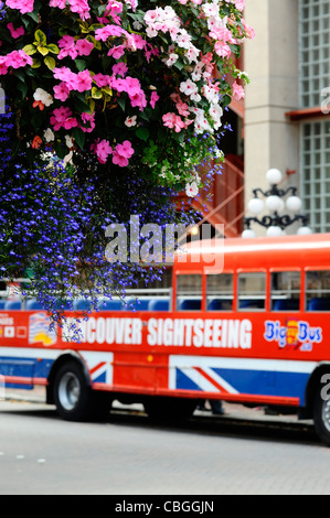 Les bus touristiques de Vancouver. Banque D'Images