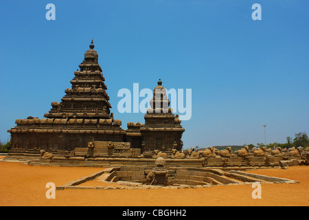 Seashore Temple de Mahabalipuram, Chennai, Tamil Nadu, Inde. Banque D'Images