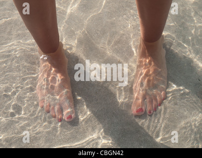 Happy Feet dans du sable et de l'eau sur la plage. Banque D'Images