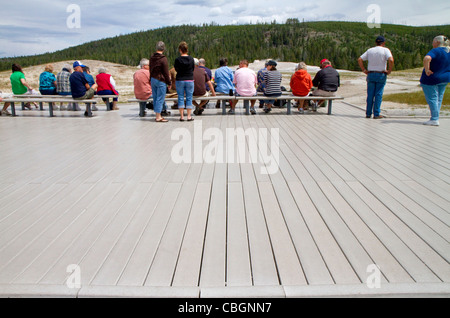 Du bois en plastique recyclé à l'ancienne zone de visualisation fidèle dans le Parc National de Yellowstone, Wyoming, USA. Banque D'Images