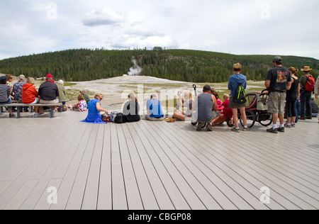 Du bois en plastique recyclé à l'ancienne zone de visualisation fidèle dans le Parc National de Yellowstone, Wyoming, USA. Banque D'Images