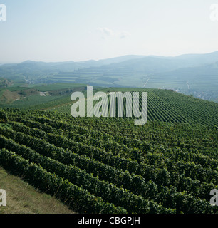 Avis de vignobles en terrasses dans la région de Kaiserstuhl, Allemagne Banque D'Images