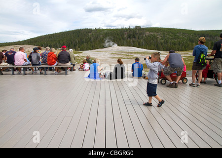 Du bois en plastique recyclé à l'ancienne zone de visualisation fidèle dans le Parc National de Yellowstone, Wyoming, USA. Banque D'Images