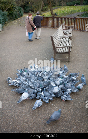 Un couple dans le parc de Greenwich quittent les lieux après avoir quitté des aliments pour une alimentation frénésie de pigeons sauvages affamés Banque D'Images